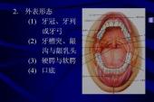 用“软腭”造句