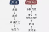 用“严格说来”造句