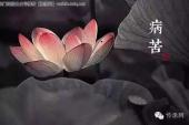 用“病苦”造句