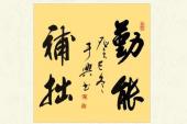 用“补拙”造句