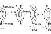 用“折返”造句