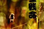 用“贱命”造句