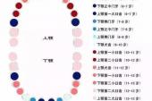 用“换牙”造句
