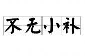 用“不无小补”造句