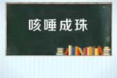 用“咳唾成珠”造句