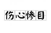 用“伤心惨目”造句