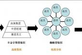 用“分权”造句