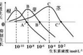 用“两重性”造句