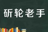 用“斫轮老手”造句