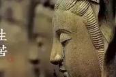 用“鸡皮鹤发”造句
