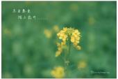 用“冬去春来”造句
