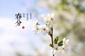 用“春分”造句