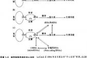 用“内在关系”造句