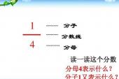 用“分母”造句