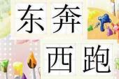 用“东奔西跑”造句