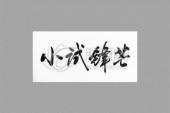 用“小试锋芒”造句