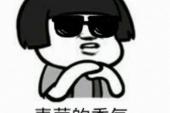 用“行家”造句