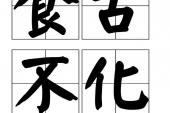 用“食古不化”造句