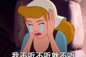 用“无理取闹”造句