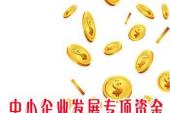 用“专项资金”造句