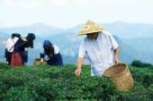 用“靠山吃山,靠水吃水”造句