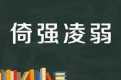 用“以强凌弱”造句