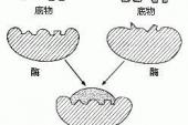 用“契合”造句