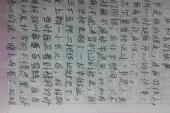用“记日记”造句
