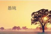 用“愚钝”造句