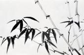 用“俯拾皆是”造句