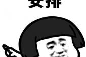 用“安排”造句