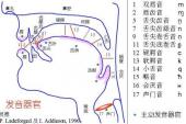 用“咬字清楚”造句