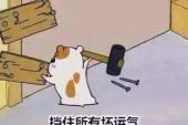 用“挡住”造句