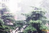 用“倾盆大雨”造句