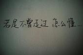 用“不曾”造句