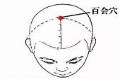 用“百会”造句