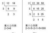 用“公约数”造句