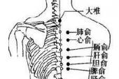 用“胆俞”造句