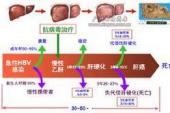 用“转归”造句