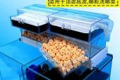 用“滴流”造句