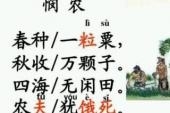 用“春种一粒粟”造句