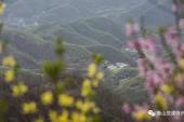 用“鲁山县”造句