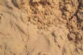 用“沙层”造句
