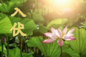 用“入伏”造句
