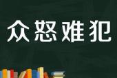 用“众怒难犯,专欲难成”造句