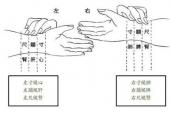 用“寸口”造句