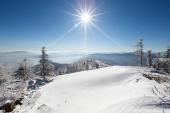 用“雪景”造句