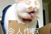 用“令人作呕”造句
