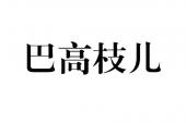 用“高枝儿”造句