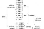 用“植物界”造句